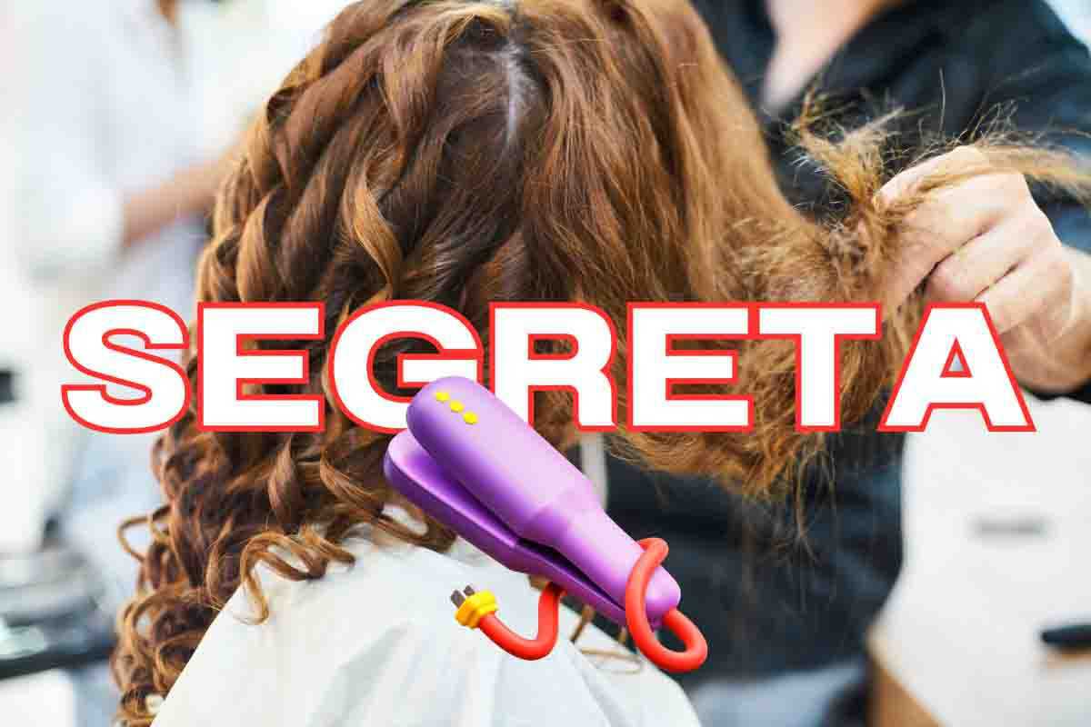 trecce chignon segreto