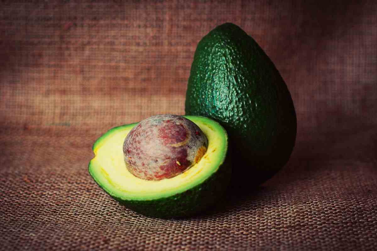 proprietà avocado
