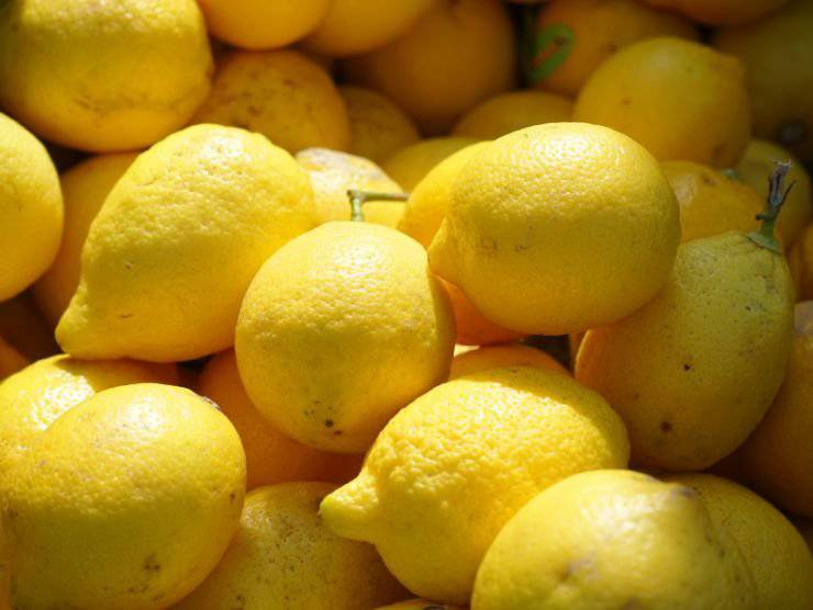 metodi alternativi limoni vecchi