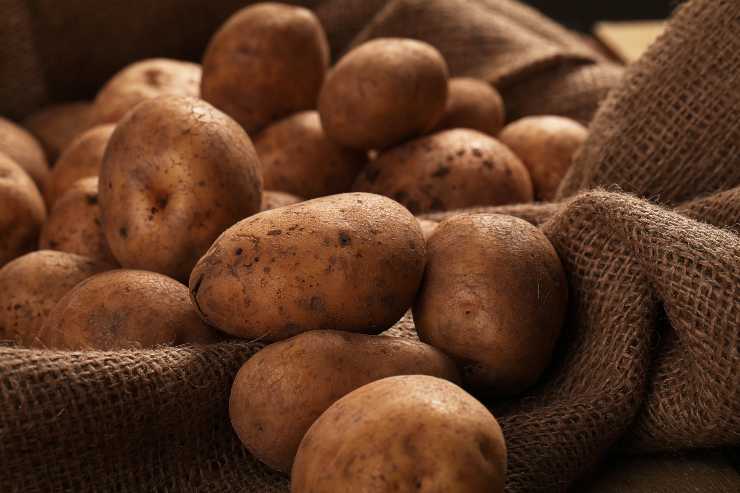 Eliminare pesciolini d’argento con le patate