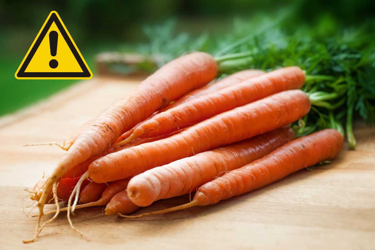 errore con le carote