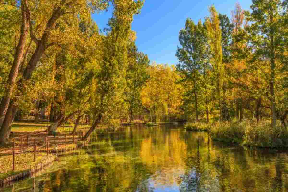 gita autunno parco