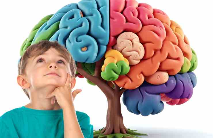 Bambino pensieroso con lo sfondo di un albero colorato a forma di cervello 