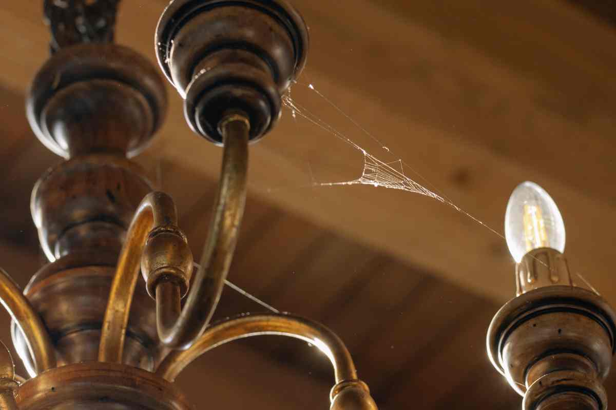 ragnatele sul lampadario